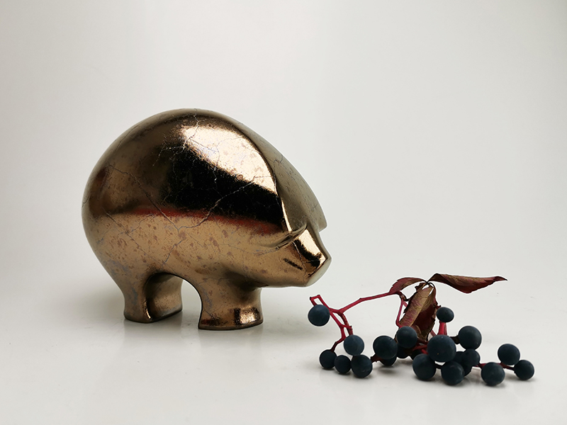 tk.mangalica.bronz_-2